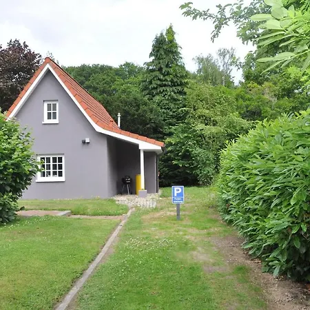 Austernfischer Heikendorf